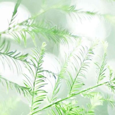斗魂觉醒手游最新版下载
