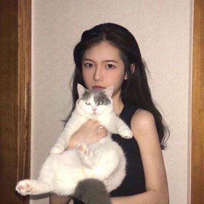 天侠武途正式版下载